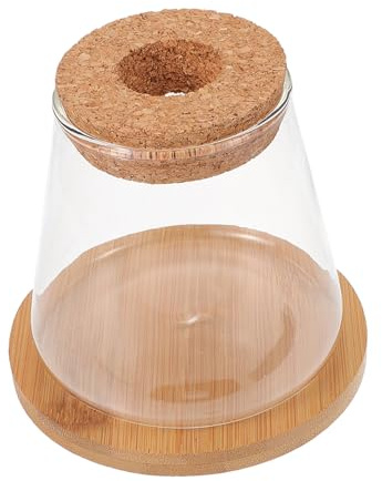 Didiseaon Petit Bocal à Poisson Transparent avec Couvercle et Support Aquarium Décoratif Compact pour Bureau et Maison Terrarium Hydroponique Polyvalent