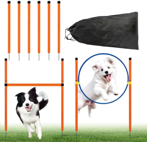 Hunde-Agility-Parcours-Garten-Set Trainingsgerät mit Tunnel | Hunde-Outdoor-Spielgeräte Für Strände, Spielplätze, Felder, Wettkämpfe, Freizeitgestaltung, Parkanlagen, Gartenanlagen und