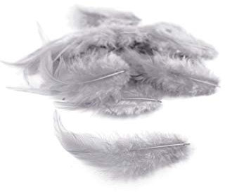 3g Hahnenkreuz Federn ca. 8-13cm (hell silber/grau 012H) // Dekofedern Bastelfedern Federn Hahn Natur Schmuckfedern Vogelfedern Hahnenfedern