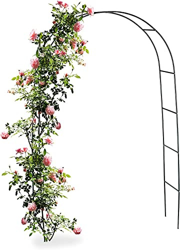 LBSI Garden Arches Metal Strong Black 1m/ 1.4m Wide Free Standing Duty Strong Tubular Arbour for Roses Climbing Plants Support Archway Decoration (Size : 100 * 20 * 220cm)