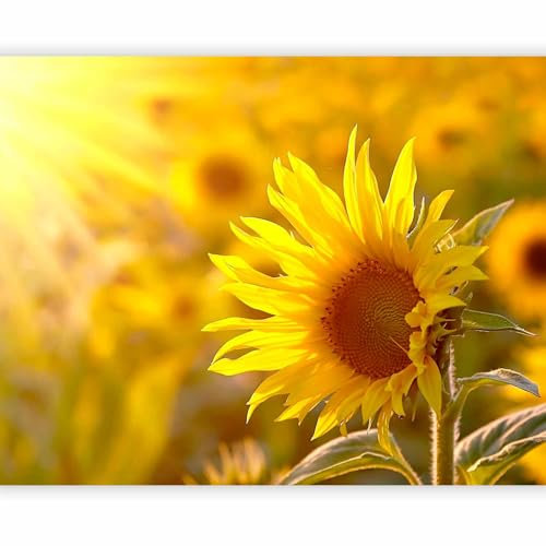 murando - Vlies Fototapete Sonnenblume 250x193cm - Foto Tapete Schlafzimmer Wohnzimmer Moderne Vliestapete XXL Wandtapete Motivtapeten 3d Effekt Wand Dekoration - Blumen Natur Pflanzenmotiv gelb