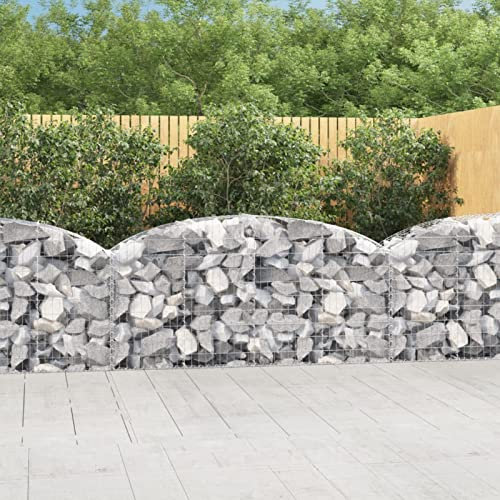 Juroupi Cesto Gabbione ad Arco 200x50x80/100 cm Ferro Zincato,Cesto Gabbione ad Arco,Gabbione,Gabbioni da Giardino,Gabbioni Metallici per Sassi-153474