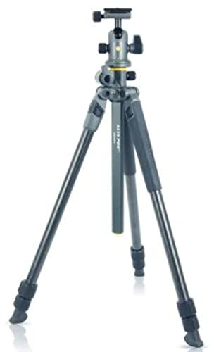 Vanguard Alta Pro 2+ 263CB 100 - Kit de trípode de Carbono, rótula de Bola, Color Negro