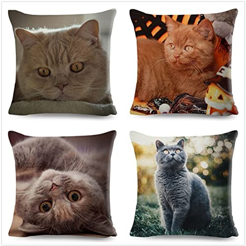 Tinnoon Kissenbezug 70x70cm 4er SetBoho Wohnzimmer Outdoor Deko, Schlafzimmer Zimmer Dekor Kissenhülle Kissenbezüge mit Verstecktem Reißverschluss, Couchkissen, Sofakissen Weinachten Süße Katze