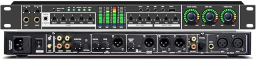 FX12 Karaoke Pre-Effects KTV Professional Digital Audio Echo Effect Processor DSP Audio Processor with Bluetooth USB