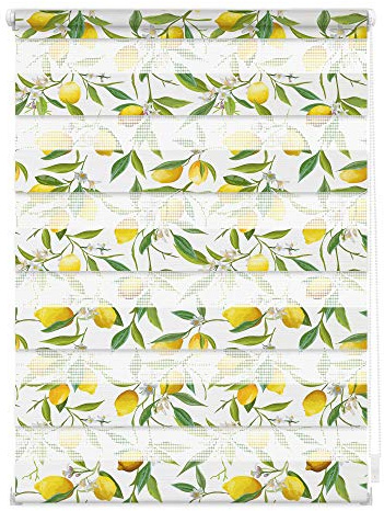 Lichtblick Doppelrollo Blickdicht ohne Bohren 45 cm x 150 cm (B x L) | Duo Rollo, Rollos für Fenster ohne Bohren, Made in Germany, Klemmträger, Montage ohne Bohren, Mit Lichtfilter, Klemm-Montage