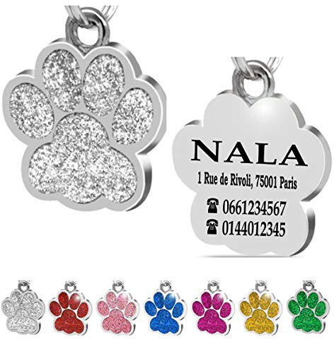 Ibera Gifts - Médaille Chien avec Gravure en Forme de Patte, Médaille pour Animaux de Petite et Moyenne Taille, Médaille Chien Gravée, Médaille Chat avec Gravure (Argent)