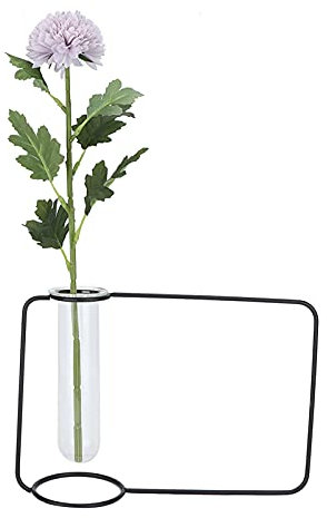 Fdit Glas-Pflanzgefäß, für Zuhause, Zum Aufhängen von Grünen Pflanzen, Reagenzglas, Metall, Hydrokultur, Transparente Vasen, Blumenständer, Fotorahmen, Kreativität, Ornament,
