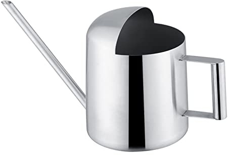 Innaffiatoio Acciaio Inox 300ml con Becco Lungo per Piante Interno Esterno Bonsai Versamento Controllato Piccolo Moderno per Giardino Casa Ufficio
