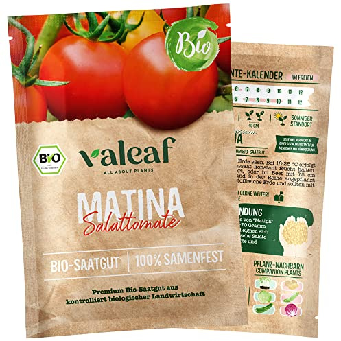 valeaf BIO Tomaten Samen I Premium Tomatensamen zur Tomaten Anzucht im Garten, Balkon und Hochbeet I samenfestes Tomaten Saatgut I Pflanzen Samen zum Tomaten Pflanzen (Matina - Salattomate (BIO))