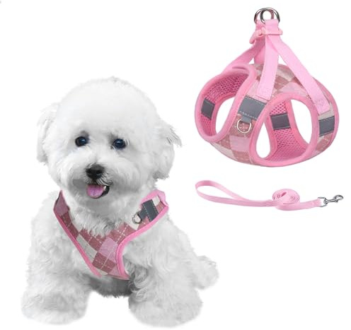 PawSailor Step-in Hundegeschirr Kleine Hunde Verstellbar No-Pull Welpengeschirr Mit Leine Reflektierend Karo-Muster Weich Mesh Brustgeschirr für Katzen und Welpen, Rosa S