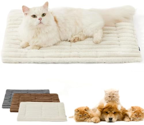 Qosigote Katzendecke Selbstwärmend, Selbstheizende-Katzenmatte, rutschfest Waschbar Selbstheizende Katzendecke, Besonders Weich & Gemütlich – Ideal Zum Schlafen Und Entspannen (Blanc cassé,S-61 * 45)
