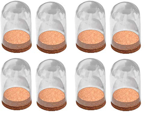 F Fityle Lot de 8 Cloches Verre Bonbonnière Décoration en Verre Borosilicate, 10 cm