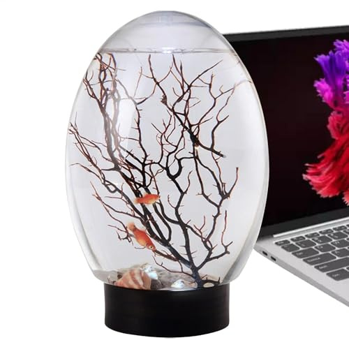 Pcingsia Acuario de Escritorio | Acuarios de Peces pequeños con luz LED | Divertida Maceta acuapónica, paisajes de Escritorio para el hogar