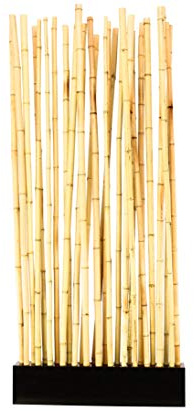 Bambussi.com - Divisorio in bambù Paris1 con circa 90 x 12 x 205 cm, base e 27 tubi giallastri 2,8-3,5 cm