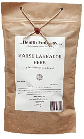 Marsh Labrador Herb (Rhododendron Tomentosum - Ledum Palustre) - Health Embassy - 100% Natural (100g)