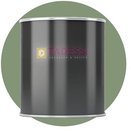 TADESSI Pintura interior verde – verde caqui – pintura de pared lavable mate – pintura de emulsión – poco olor y sin disolventes – envase de 1 litro