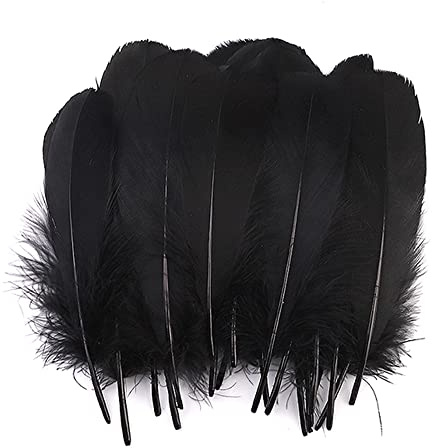 100 Stück Bunte Feder zum Basteln Naturfedern Gänsefedern Indianer Bastelfedern für DIY Kunstwerk Masken Hüte Ohrringe Haarschmucken Traumfänger Hochzeit Karneval Party Dekoration,12-18cm Schwarz