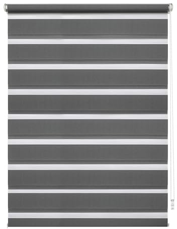 GARDINIA EASYFIX Doppelrollo mit Montageschiene, Duo-Rollo, Seitenzugrollo, Transparente und blickdichte Streifen, Stufenlos verstellbar, Anthrazit, 100 x 150 cm
