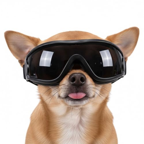 Gkhlg 1 Pair of Dog Goggles Dog Sunglasses Wind Protection Doggles with Soft Straps Doggles for Small Medium Breeds for Hiking Snow Car Rides Pet Photoshoots and Daily Park Visits (M)