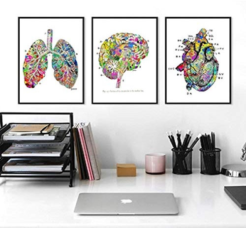 Polmone Cuore Cuore Anatomia Acquerello Medico Wall Art Stampe e Poster Tela Pittura Quadri murali Arredamento Studio Medico Senza Cornice 40 * 60 cm * 3 Pezzi