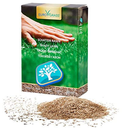 Premium Schattenrasen Rasensamen & Grassamen | Schnellkeimende Rasensaat für Dichten Rasen im Schatten | Nachsaat Rasen Schnellkeimend im Herbst | Pflegeleicht Schattenrasen Samen – 1 kg für 40 m²