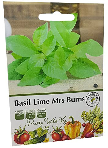 Basil Lime Mrs Burns Herb Seeds in Pictorial Packet from a UK Seller Popular & Easy to Grow Herbs