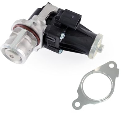 Globalautoparts Valvole EGR per Mito,per Manager, per Panda, per Punto, per Ducato, per Corsa, 1.3D, 1.3JTD,1.3CDTI,3.0HDi, 55207921, 55577947, 55599946, 5851089, 71753846, 71795160, 851176, 93195431