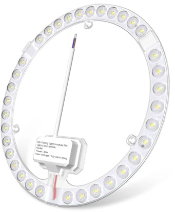 DoRight 36W LED Ring Modul für Deckenleuchten Kaltweiß 6000K Umrüstsatz mit Magnethalterung CRI 98+ für Deckenleuchtengehäuse, Küchen, Schlafzimmer, Büros, Werkstätten 230V