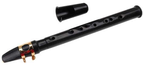 ELAYARD Pocket Saxophon Mini Saxophon Tragbar Kleines Holzblasinstrument Gerade Form Schwarz Für Musiker Anfänger Musikfreunde