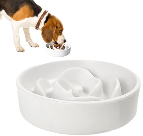 Gamelle pour Chien - Jeu de Puzzle interactif - Gamelle et Bol pour Chiens - pour Chatons et Chiots - pour Une Utilisation Quotidienne en intérieur et en extérieur