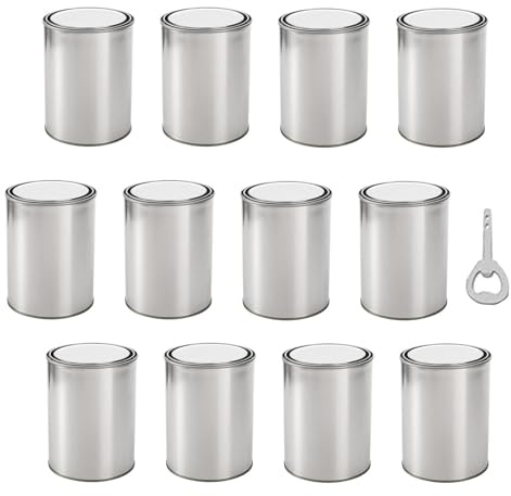 Barattoli di vernice vuoti da 12 pezzi con coperchio - Barattoli di latta vuoti da 0,5 litri per vernice | Contenitori ermetici sfoderati con vernice | Barattoli metallici vuoti multiuso per arti