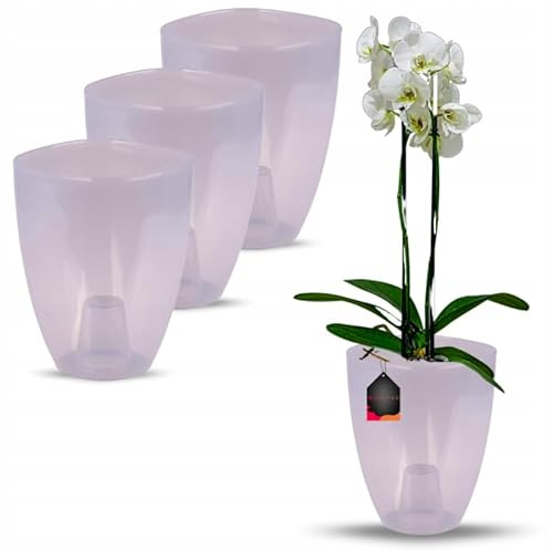 OMAGO® Cache-Pot pour orchidée, Lot de 3 pièces, Pot décoratif Gris Semi-Transparent, Cache-Pot Moderne pour Fleurs