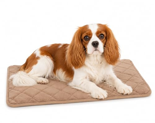 hundebett - katzenbett orthopädisch Weimar beige - Premium hundekissen für drahtkäfige - 55,5x38,5x2cm