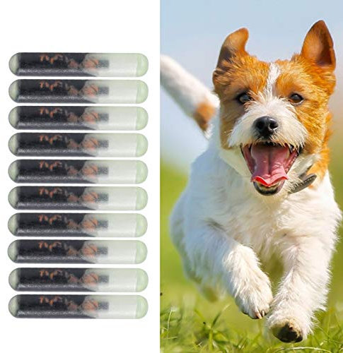 Hunde-ID-Mikrochip, 10 Stück/Set 2,12 MM Glas-Haustier-Mikrochip Standard-Tierchip-Implantate zur Identifizierung