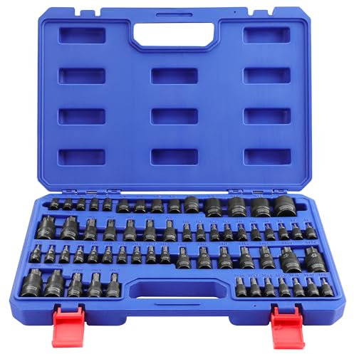 WORKPRO Chiavi a Bussola Torx da 60 Pezzi, 1/4, 3/8, 1/2 Attacco, T6-T70, TT6-TT70, TP8-TP60, E4-E24, con Scatola di Conservazione
