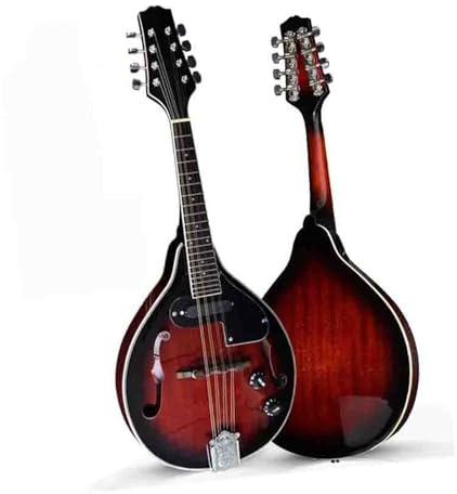 Electric Mandolin Instrument Dual Purpose Wine Red Professional Standard Mandolin