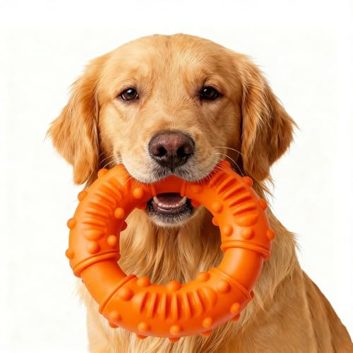 EclipseGuard Hundekauspielzeug, Hundespielzeug Unzerstörbar Gummi für Starke Kauer, Kauspielzeug Hund, Denta Fun Pflege Ring, Naturgummi Spielzeug für Kleine/Mittelgroße/Große Hunde (Orange)