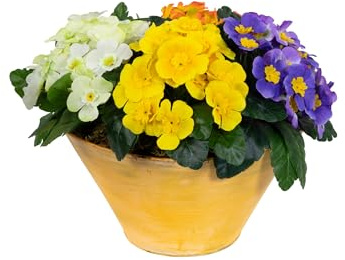 Primel-Arrangement in orangener Metallschale 25x36x30cm künstliche Primel Blumen wie echt Pflanzen Kunstblumen naturgetreu Dekoblumen Frühling Deko