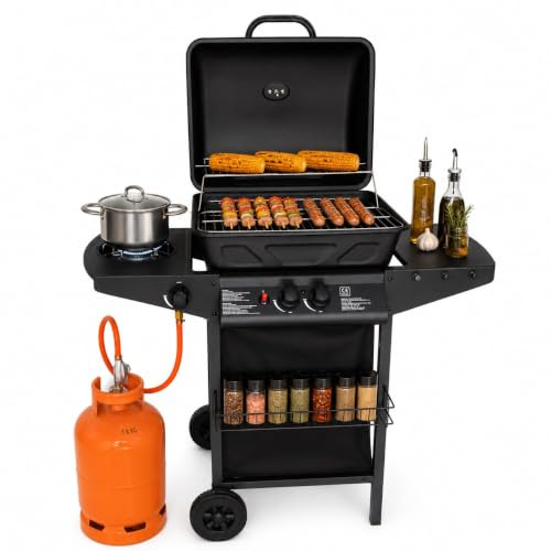 Barbecue a Gas con Pietra Lavica 2 Bruciatori + Fornello Laterale 8kW Area di Cottura 48 × 37cm Griglia in Acciaio Coperchio con Termometro e Ruote per Giardino