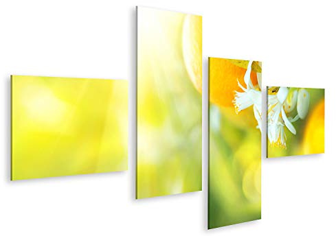 islandburner Bild auf Leinwand Blühender Orangen Oder Zitronenbaum Gesunde Bio Zitrone Oder Orange Im Sonnigen Bilder Wandbilder Poster