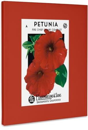 3dRose Petunia Fire Chief Dwarf Compact Deep Red Flower Seed Packet Museum Grade Canvas Wrap 11x14