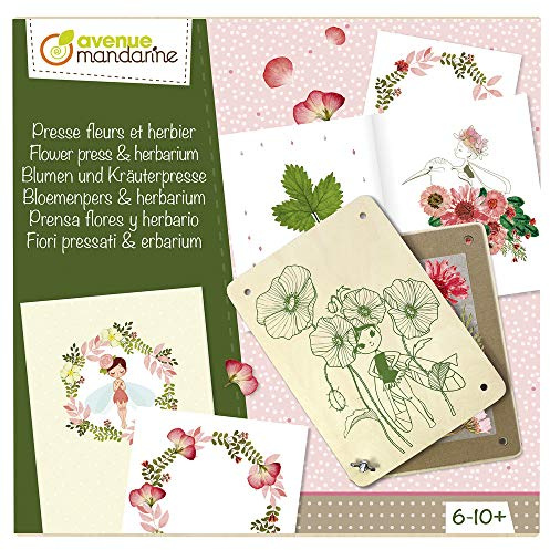 Avenue Mandarine CO175C Cofanetto creativo con Pressa per i fiori ed erbario