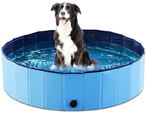 Huasean Pataugeoire Pliable pour Chien 100 x 30 cm - Piscines Portables pour Chiens et Chats, Baignoire Robuste en PVC, Antidérapante