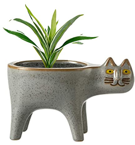 Mhihtts Maceta para gatos, macetas para gatos, macetas para suculentas, macetas de cerámica, macetas para gatos para plantas de interior para decoración del hogar, escritorio de oficina o alféizar de
