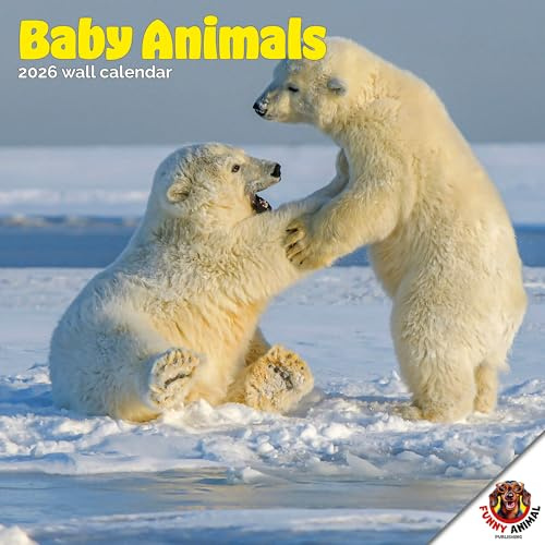 Dayplanner Publishing Baby Animals Calendar 2027, Large | Large square 16-month wall calendar, ideal as a Baby Animals gift.