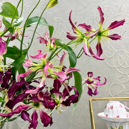 bulbi di giglio di fiamma da giardino resistenti perenni giglio fiamma fresche, decorativi, bouquet regali per gli amanti del giardino, 8pcs