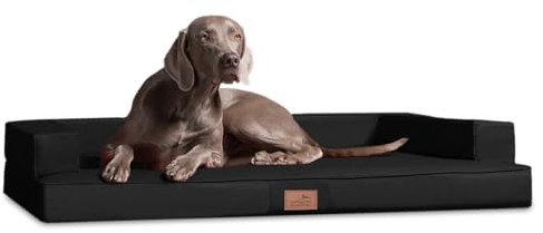 tierlando® Orthopädisches Hundesofa Gibson aus Kunstleder mit Visco-Matratze, kubisches Design, gelenkschonende Hundelounge mit Rutschfester Unterseite Größe: 150x100cm | Farbe: 03 Schwarz