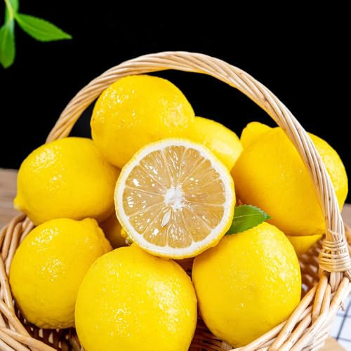 Zitronenbaum samen （lemon tree）、 gewächshaus、bonsai baum pflanzensamen、garten pflanzen bäumchen für garten、Dekorative Pflanzen hochbeete für garten、gartenpflanzen stauden winterhart 60pcs
