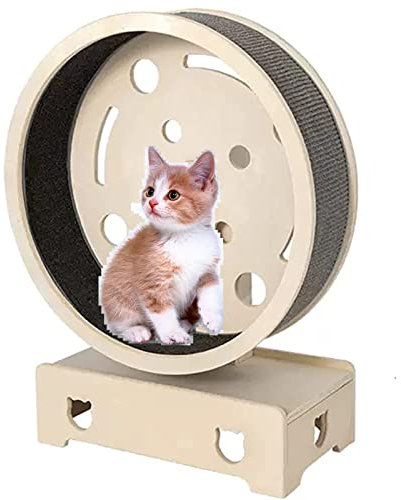 SSQUZA Laufband Für Katzen, Laufrad Für Katzen Im Innenbereich, Laufrad Für Katzen, Für Große Mittlere Kleine Haustierkatze bietet Bewegung Für Katzen,S